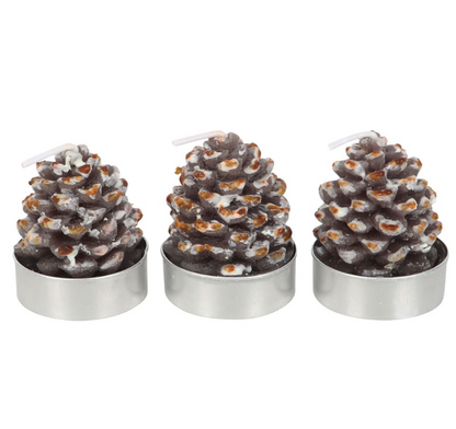 Set di 6 candele tealight a forma di pigna