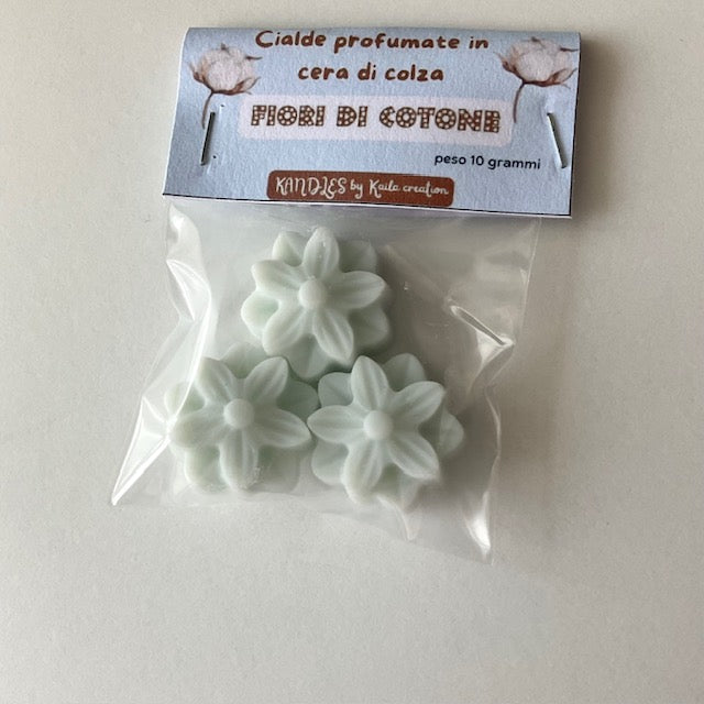 Special Box - Spring edition